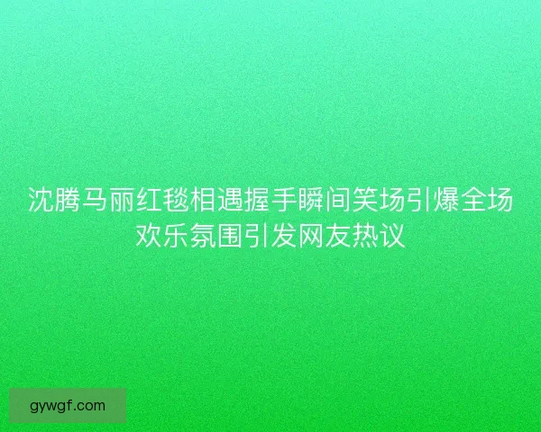 沈腾马丽红毯相遇握手瞬间笑场引爆全场欢乐氛围引发网友热议